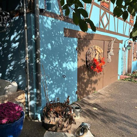 Le Gite Bleu Willgottheim エクステリア 写真