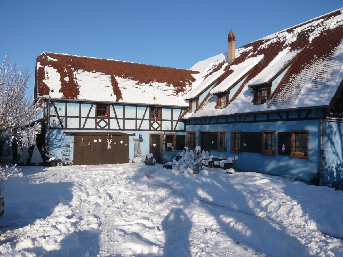 Le Gite Bleu Willgottheim エクステリア 写真