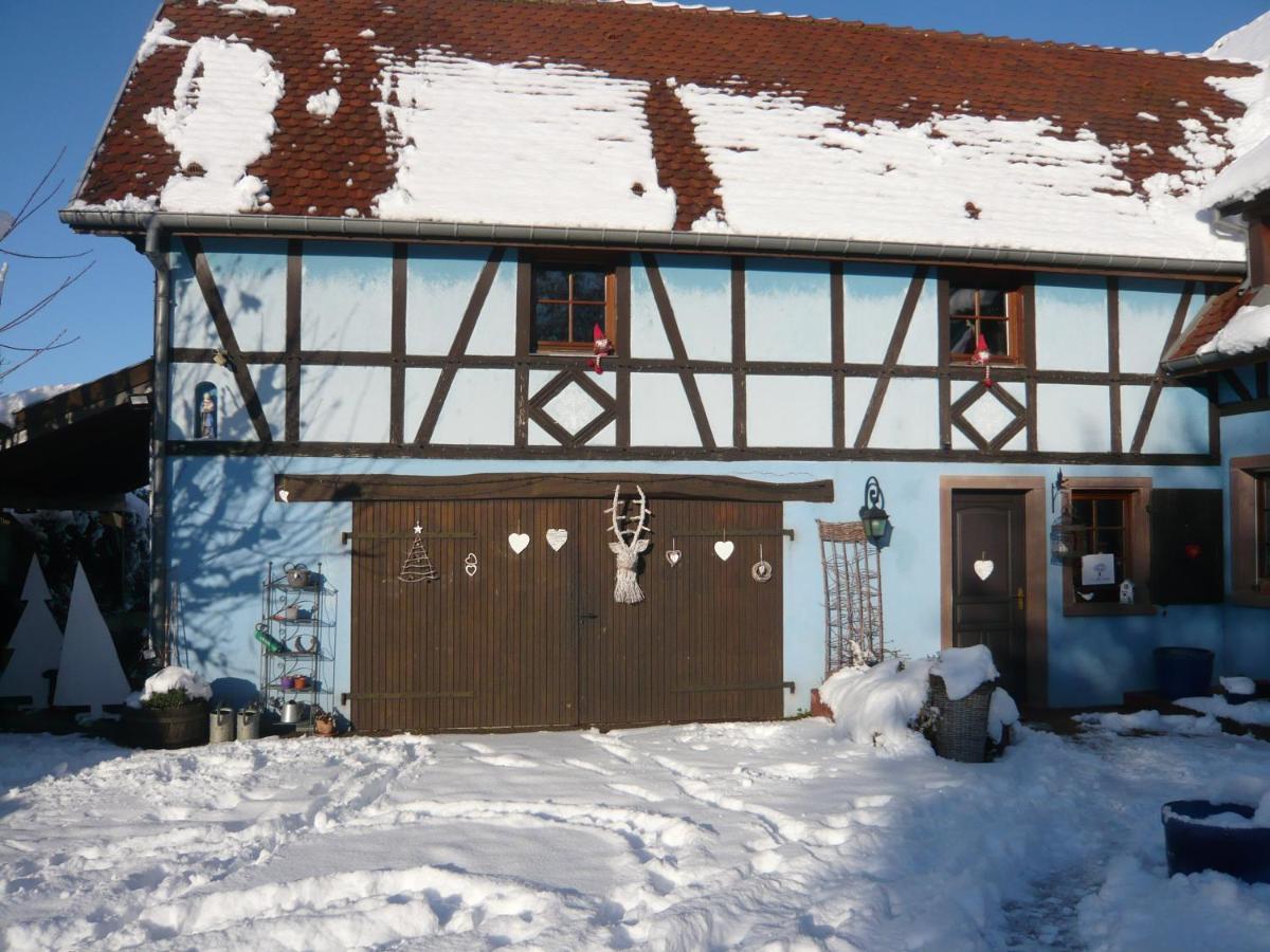Le Gite Bleu Willgottheim エクステリア 写真