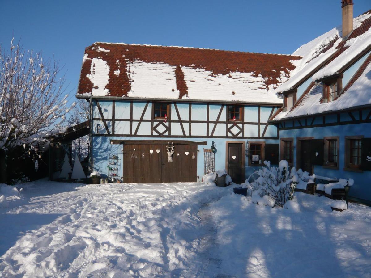 Le Gite Bleu Willgottheim エクステリア 写真