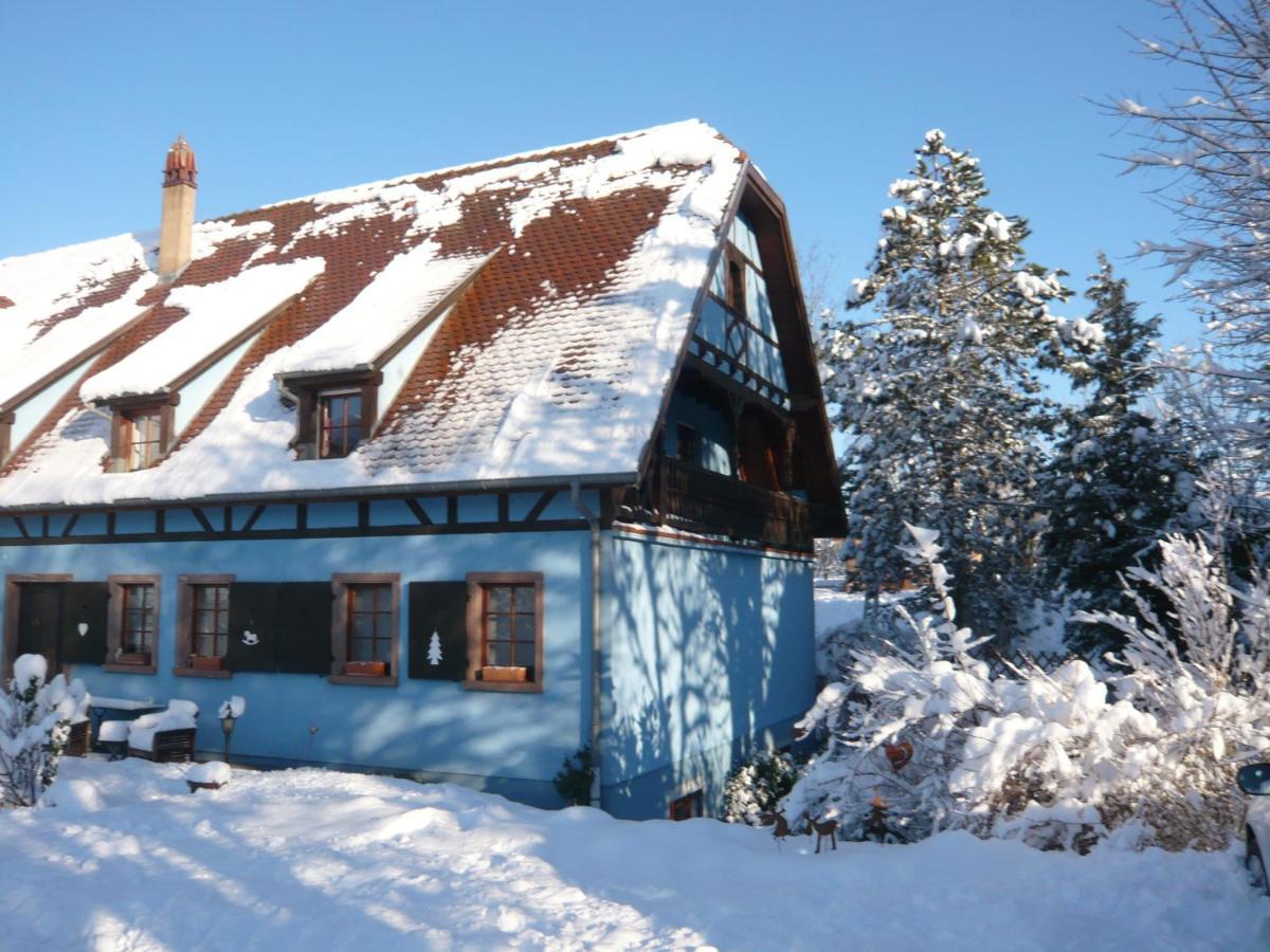 Le Gite Bleu Willgottheim エクステリア 写真