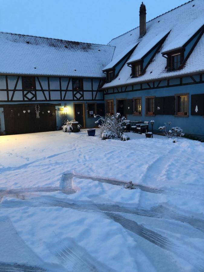 Le Gite Bleu Willgottheim エクステリア 写真